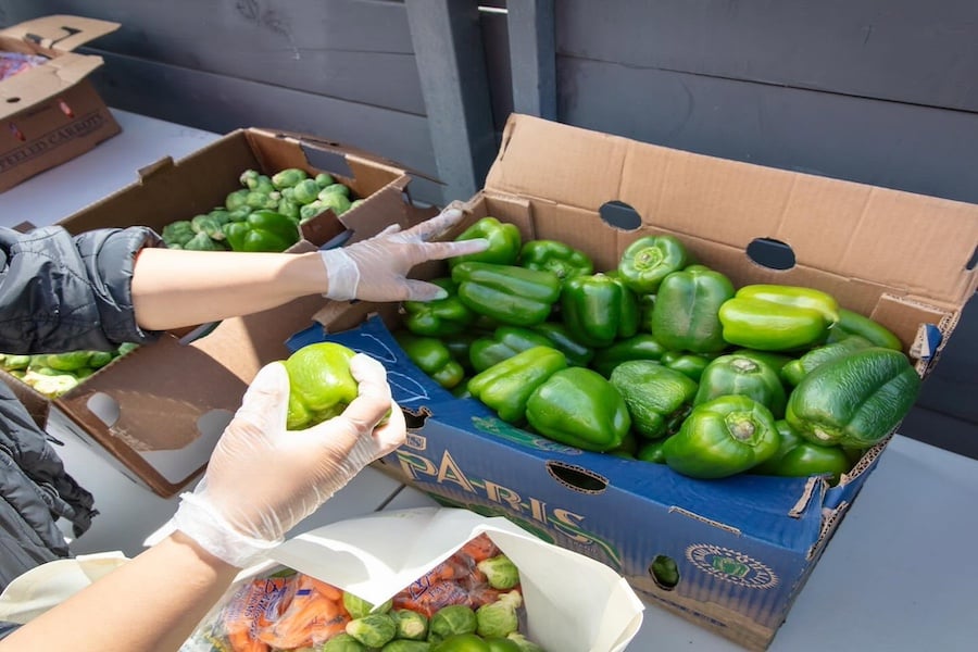 better 900 x 600 gleaning better 900 x 600 gleaning