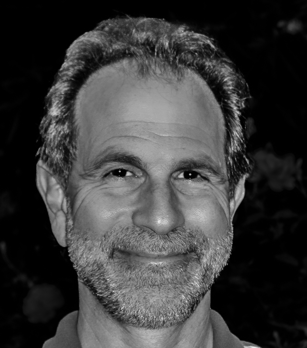 Steve Ades headshot-1