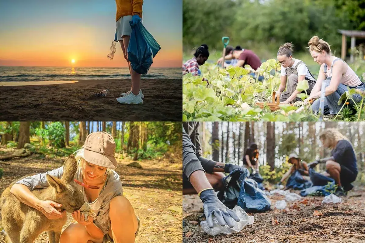 volunteer-collective-image-home-environment